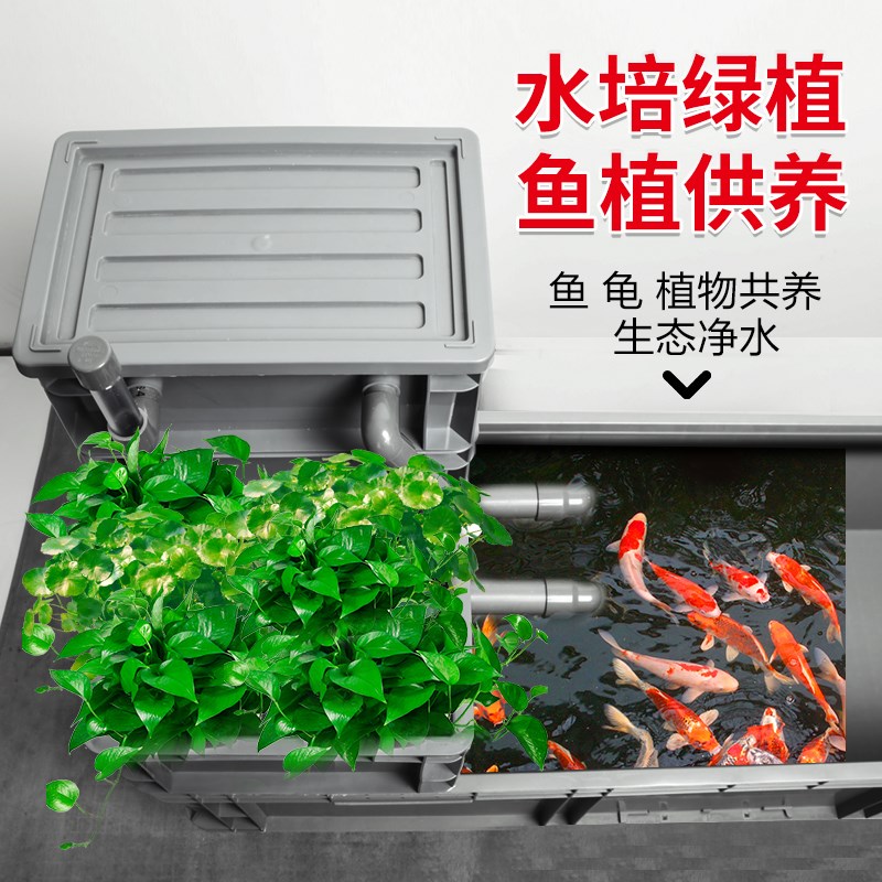 家用养龟养鱼过滤周转箱塑料水陆缸带晒台爬架生态沼泽龟鱼混养缸