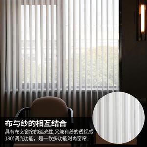 网红竖百叶垂直梦幻白纱窗帘透光不透人客厅阳台卧室白色阳光条纱