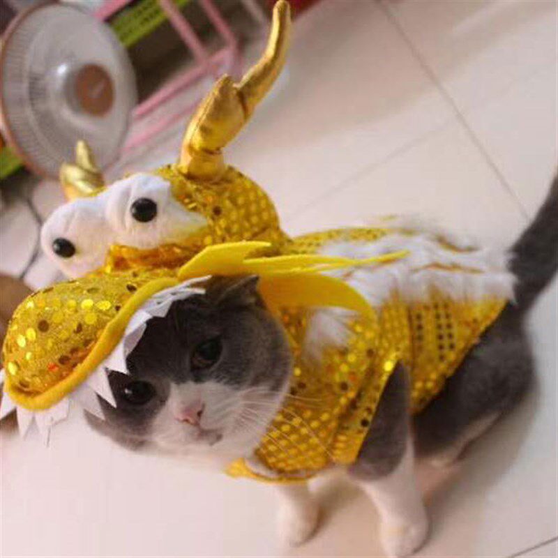 喜庆年兽衣服狗狗舞龙狮衣服新年泰迪狗狗过年衣服猫咪唐装金色