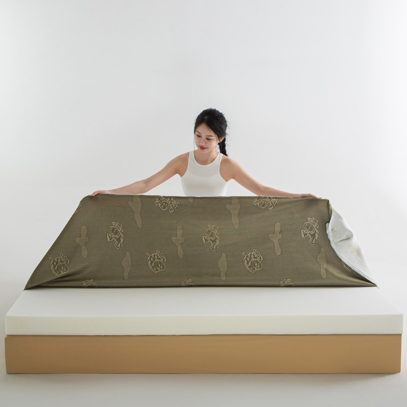 定制高密度床垫家用榻榻米1.8米记忆棉加厚炕褥子软垫被硬海绵2.6