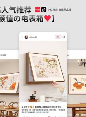 中02358入户改电表箱道装饰画遮挡电箱楼口式配电箱挂画弱总控开