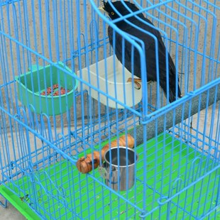 鸟笼站杠磨砂站杠站棍八哥画眉鹩哥乌鸫鸟磨嘴魔爪