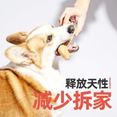 FOFOS狗狗玩具磨牙棒耐咬成幼犬洁齿鹿角两只福狸零食咬胶狗口臭