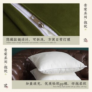 冉忆2024新款沙发抱枕新中式国风轻奢高级感客厅卧室靠枕腰枕青棠