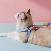 小猫咪牵引绳防挣脱外出专用宠物可调节溜猫狗狗抱婴袋遛猫遛狗绳