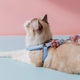 小猫咪牵引绳防挣脱外出专用宠物可调节溜猫狗狗抱婴袋遛猫遛狗绳