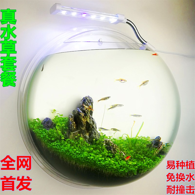 花瓶壁饰插花水培花器立体亚克力墙贴办公桌面鱼缸花盆客厅装饰品