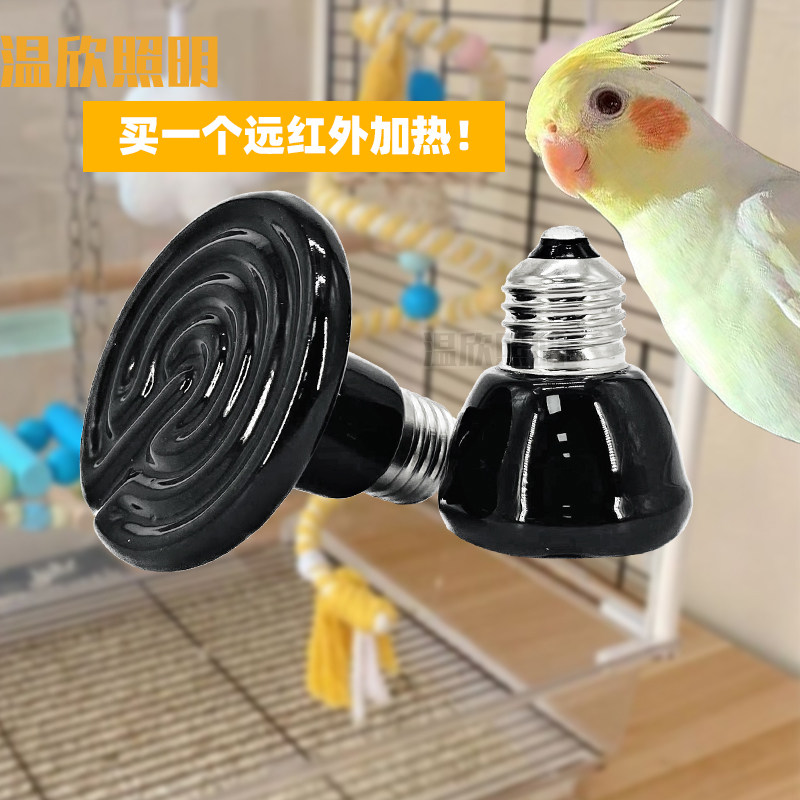 宠物过冬神器猫狗保温灯陶瓷红外加热灯鹦鹉爬虫龟箱芦丁鸡防寒保,家装灯饰光源,LED球泡灯,淘宝优惠券,粉丝福利购,淘宝优惠卷