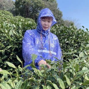 牛筋加厚加大分体采茶雨衣雨裤套装男女通用种茶摘茶茶农专用雨衣