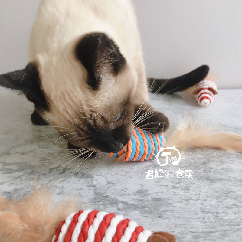 剑麻老鼠猫咪玩具逗猫棒自嗨小耗子鸡毛尾巴沙沙响斗猫棒纸绳编织