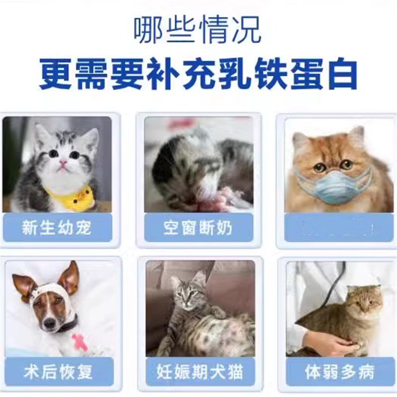 乳铁蛋白粉宠物狗猫高免因子增强免疫力猫牙龈口腔发红体弱配速诺