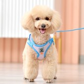 狗狗牵引绳背心式 小型犬遛狗绳泰迪博美比熊胸背带幼犬宠物狗链子