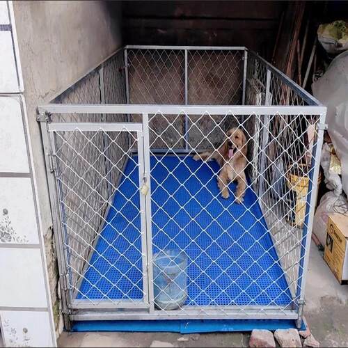 狗笼子狗围栏中大型犬加粗围栏狗笼子大型犬狗笼户外狗笼大型犬