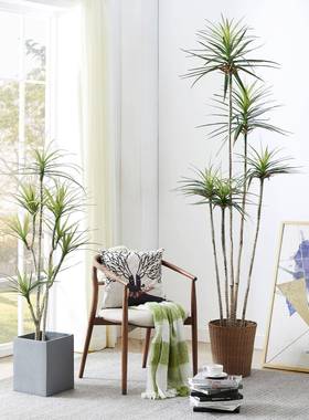 叶龙舌兰仿真绿植盆仿栽仿生假狭绿植装饰树室内客IBI千厅年木真