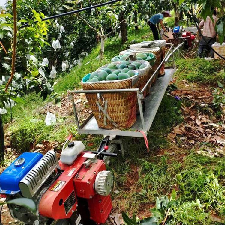 农用单轨运输机工程物料大型山地果园轨道运输车齿条爬坡汽油机