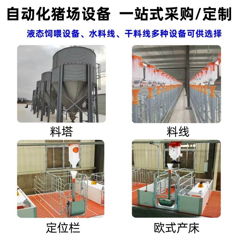 正红养殖设备 养殖场仔猪保育床 小猪仔猪专用欧式保育床保育栏