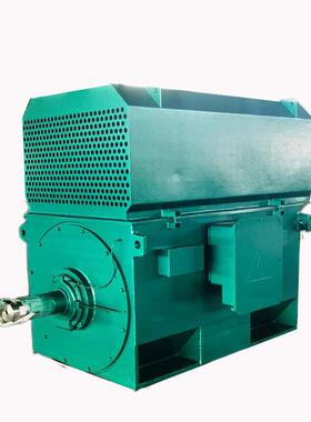 出口朝鲜欧10东华kv山普特YKK高压电动机EGQ355kwIP55315美kw