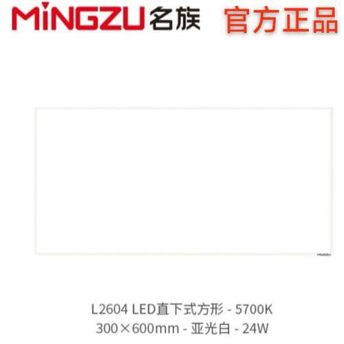 名族L2604_300*600平板灯led厨房化妆室灯嵌入式铝扣板灯