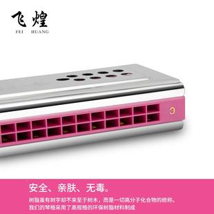 飞DNI煌进口音24孔复音簧C/G演调双面调口琴双成人儿童初学奏口琴