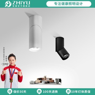 至御旋转射灯led简约现代走廊过道灯背景墙衣帽间明装 天花灯065