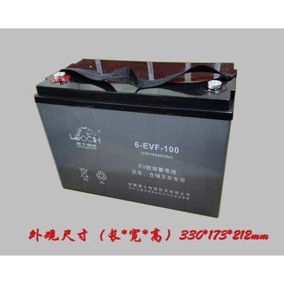 理士叉车电池6-EVF-100免维护动力电池