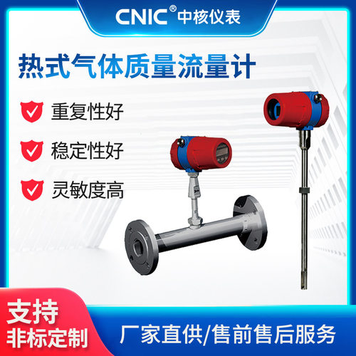 热式气体质量流量计 插入式管道天然气空气氢气流量计智能流量计