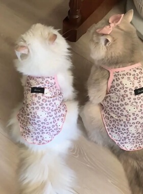 猫咪衣服夏季可爱豹纹背心狗狗防掉毛春夏吊带辣妹风防掉毛衣服