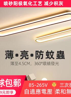 110V长条过道灯一字阳台灯入户玄关灯衣帽间北欧走廊LED吸顶灯G01