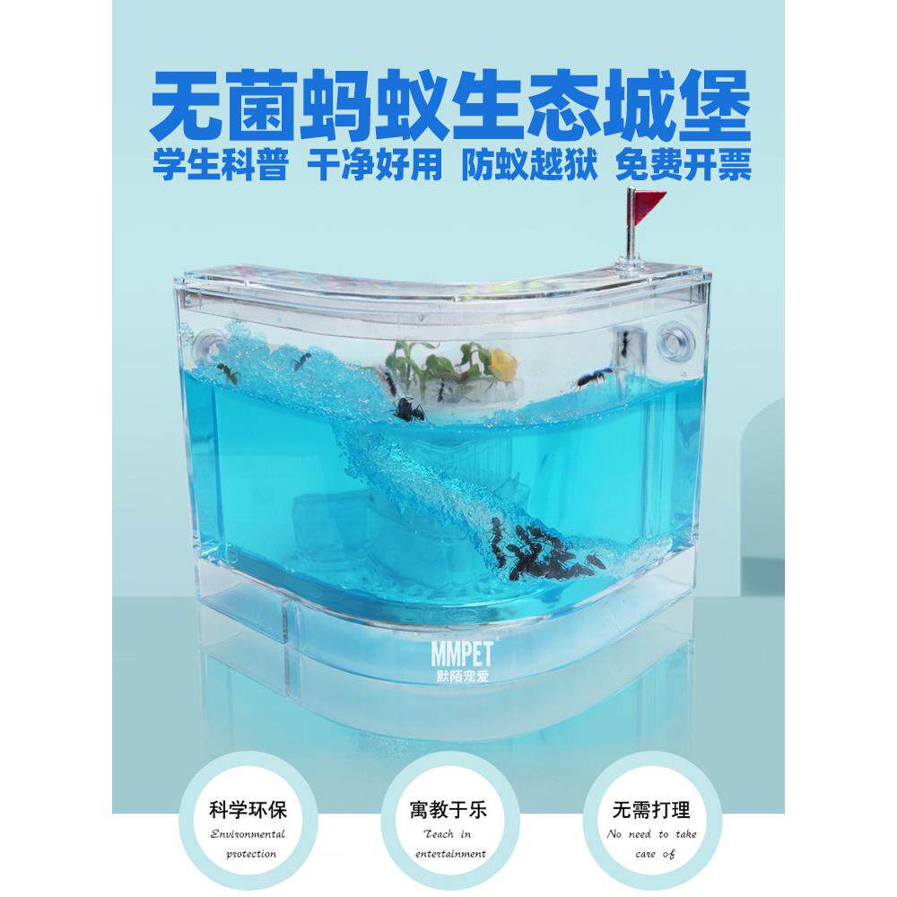 无菌蚂蚁工坊城堡学生套餐超大盒子生态箱宠物蚂蚁活体弓背蚁后
