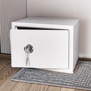 艾谱带锁的小箱子铁盒收纳盒防盗贵重物品保险柜家用钥匙锁保险箱