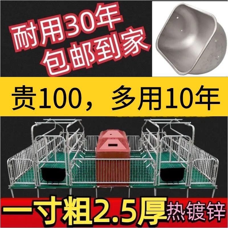 母猪产床双体保育两用床产保一体仔猪分娩床热镀锌全复合双体产床