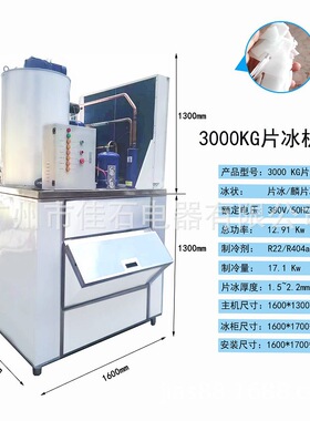 2025新款 工业鳞片冰机 3000kg Flake Ice Machine 片冰机工厂