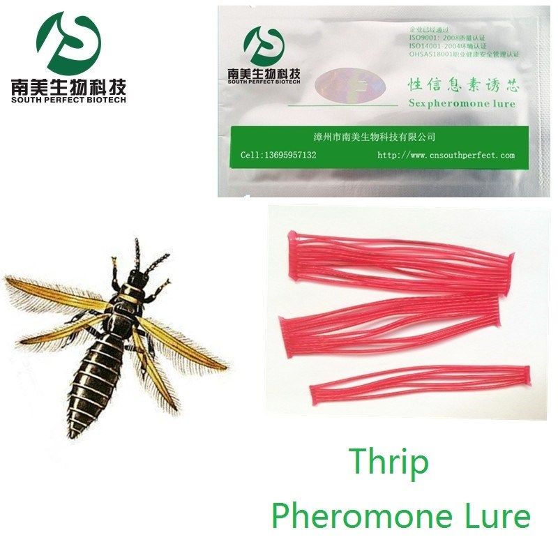蓟马信息素诱芯 昆虫性诱剂诱捕剂 绿色环保物理菜园防治杀虫板