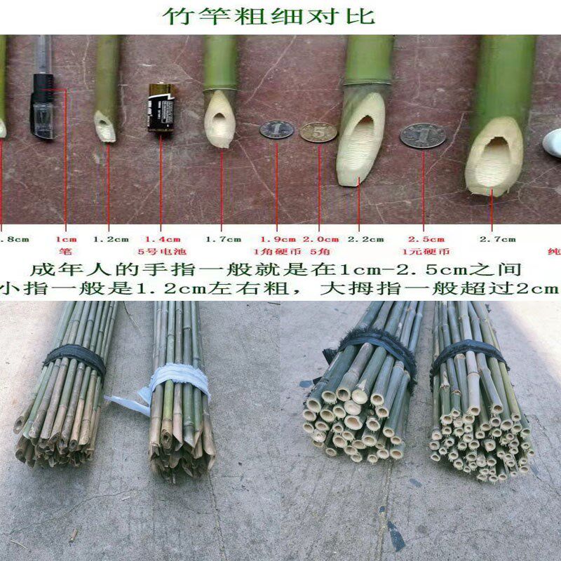 爬藤菜园搭架黄瓜豇豆角搭架1米2米3米竹竿竹子