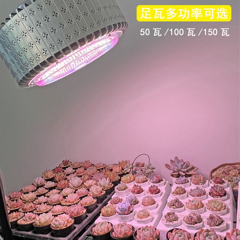 正阳筒灯多肉补光灯 家用上色防徒室内花卉 绿植生长灯大棚全光谱