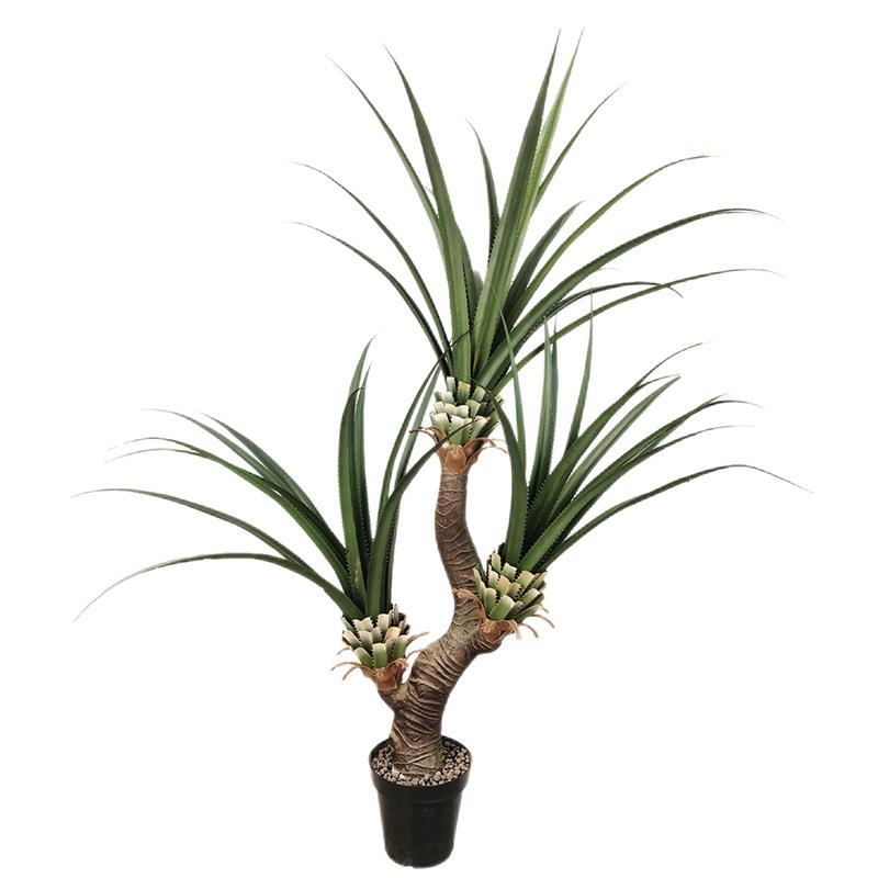 仿真植摄物剑装麻盆栽热绿植一帆风顺饰影直带播造QNM景摆件龙血