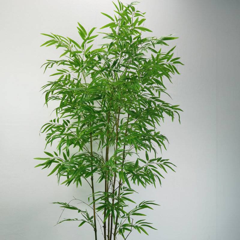 仿真5杆天使盆竹装饰隔断屏风加密塑料假竹子室内外仿真绿植造景