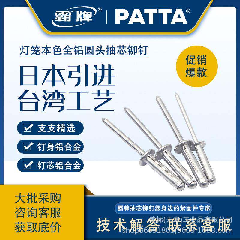 霸牌全铝灯/笼型RIE抽芯拉铆头钉.元圆锚钉4/4.864/汽车支架专用