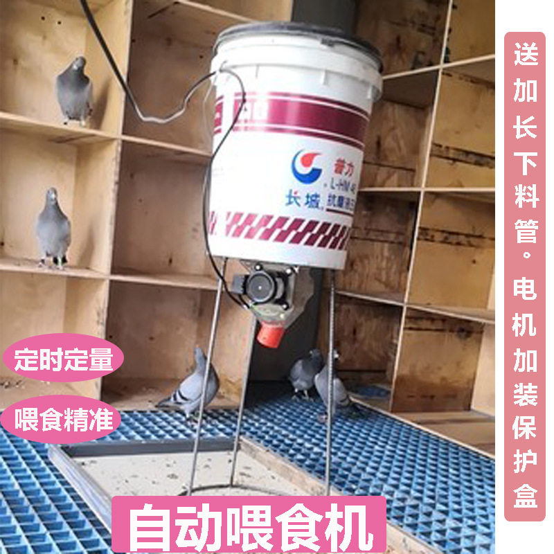 鸽子自动喂食机养鸡设备电动自动喂鸡喂食投料定时下料器饮水其他