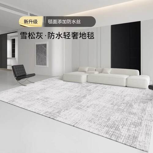地qr200801发客厅2025新款免洗可毯擦意室式极简沙茶几毯卧床边隔