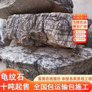 公景园造景龟纹石天石头草坪石林点缀景石观石大型鱼园池石头造龟