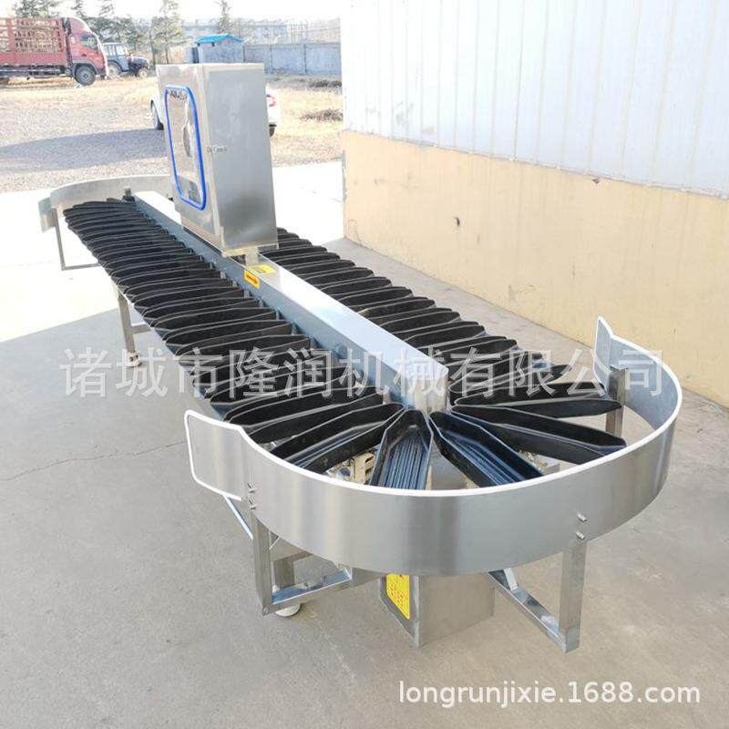 隆润械全自动鲅鱼重量分选机冻鲅鱼DGL带鱼称重分拣机机价格优惠