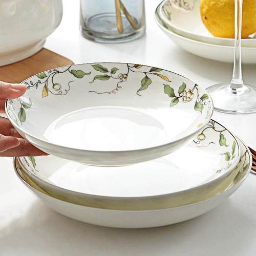 盘子陶瓷具盘LTQ2加深盘菜盘汤盘家用碟子05新款骨瓷餐盘餐套装2