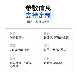 全铜闪避雷缘针接器家用防雷工程单针球绝形室外别FID墅屋顶预放
