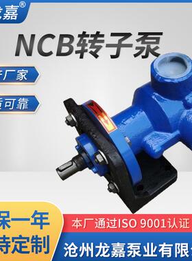 龙嘉电动高粘度转子泵C转子泵蜂蜜糖浆B泵白胶泵树N乳JRF脂泵涂料