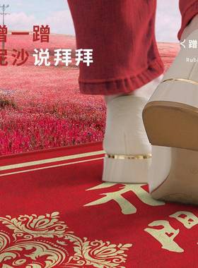 新款门QLT地垫家进门防滑垫门用口脚垫玄关户垫子红色地入毯门垫