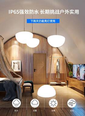 le室内半球灯吸顶灯客吊厅现代厅简约d半圆形餐灯楼梯907店铺商用