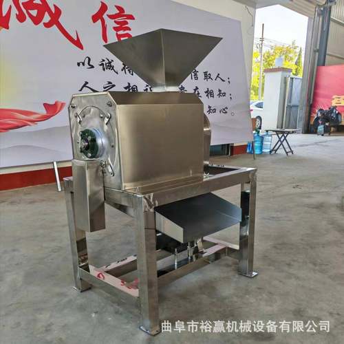 大型橘子打浆机 商用蓝莓杨梅去皮去核打浆机