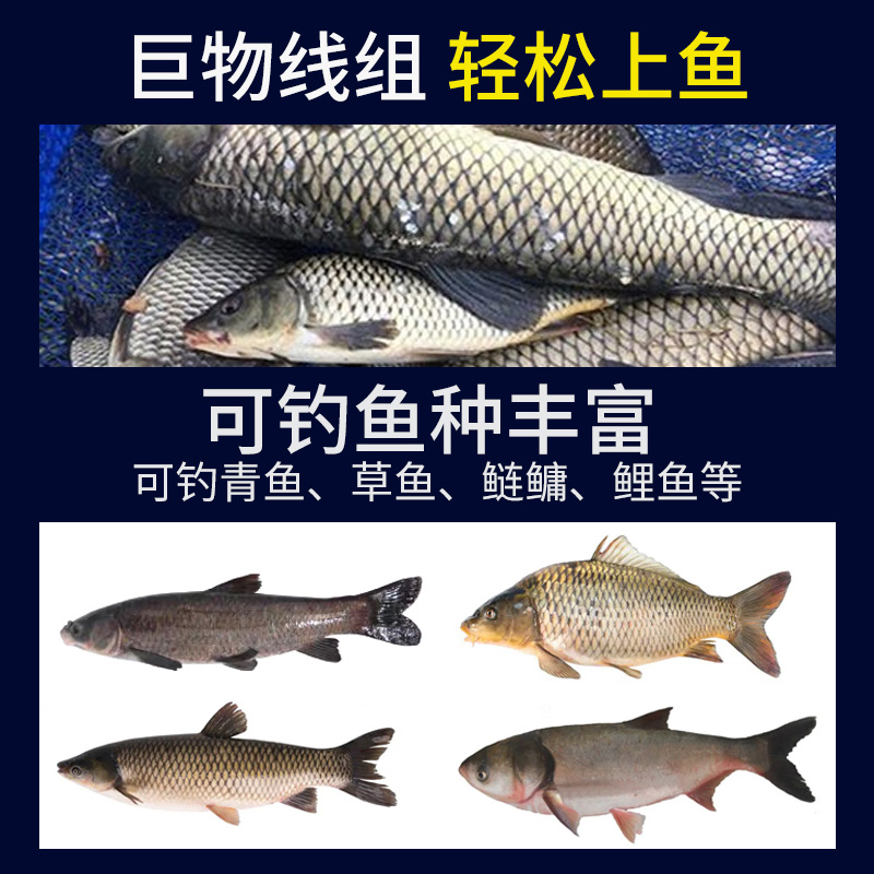 原丝大物线组主线成品全鱼线主线超强拉力青鱼鲟鱼巨物线组