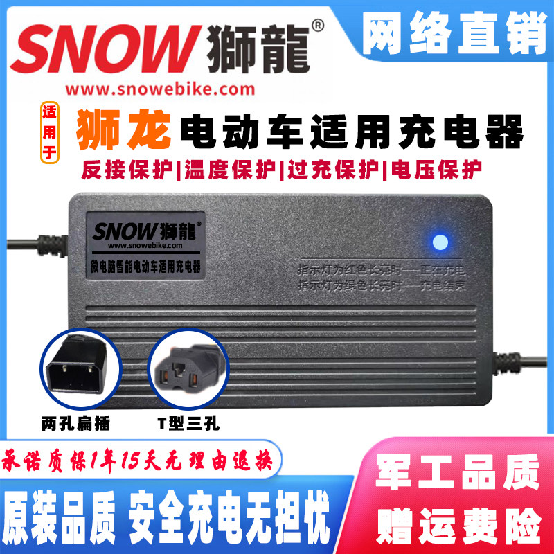 狮龙电动车电瓶充电器48V12AH60V20AH72伏32AH84V96V50AH两孔扁针